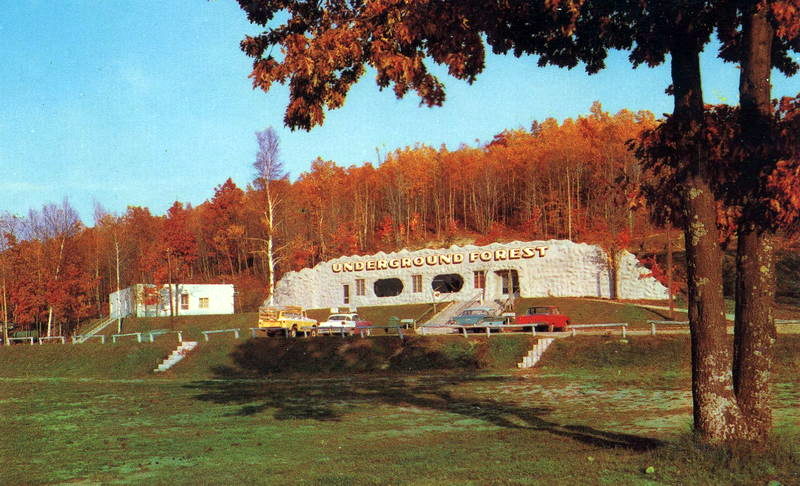 Underground Forest - Old Postcard (newer photo)